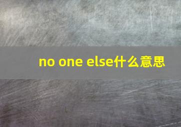 no one else什么意思